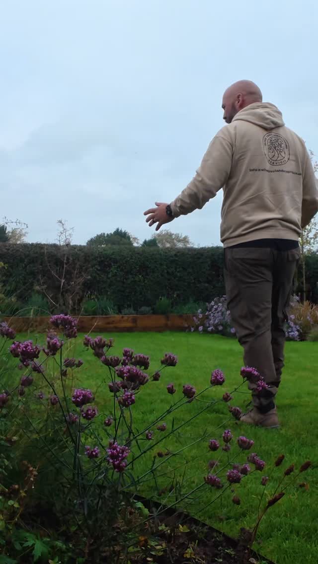 Olive Tree Landscaping Services Facebook ad: Paul’s walk-through of our Elm Tree project, where…