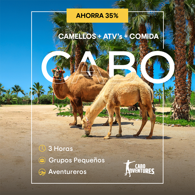 Cabo Adventures Facebook ad: Vive Los Cabos con tours increíbles diseñados para…