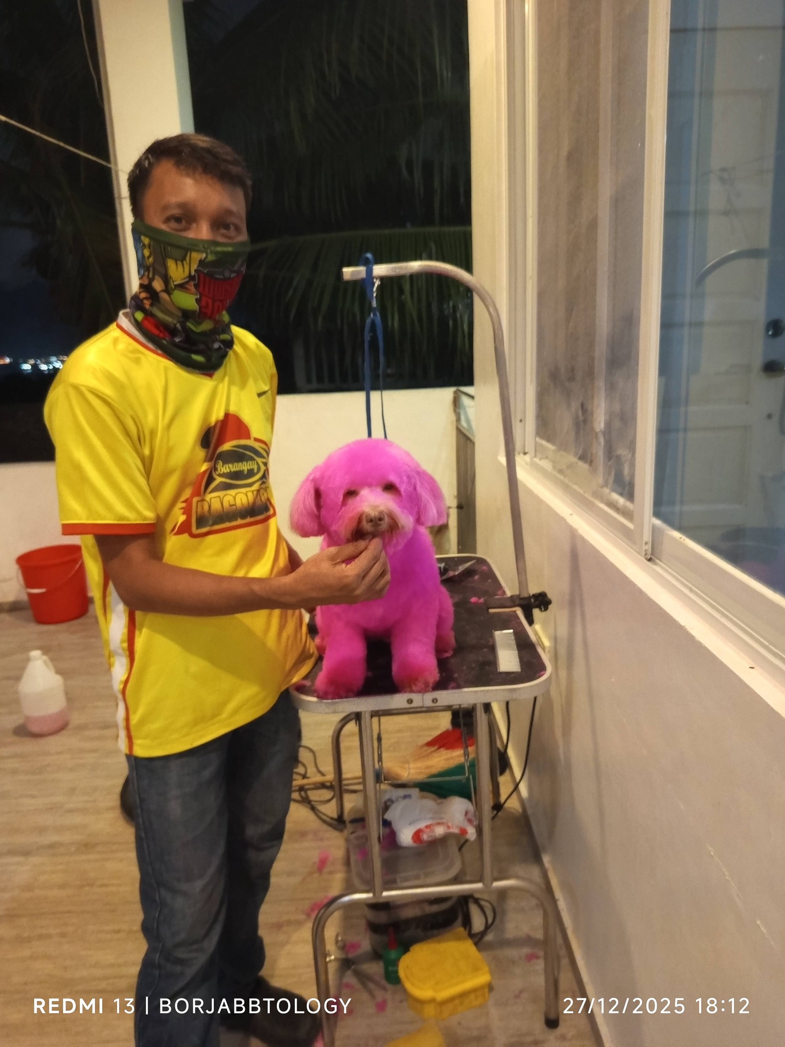 Neneng's Home Service Pet Grooming - Cebu Facebook ad: Hello Furparents!