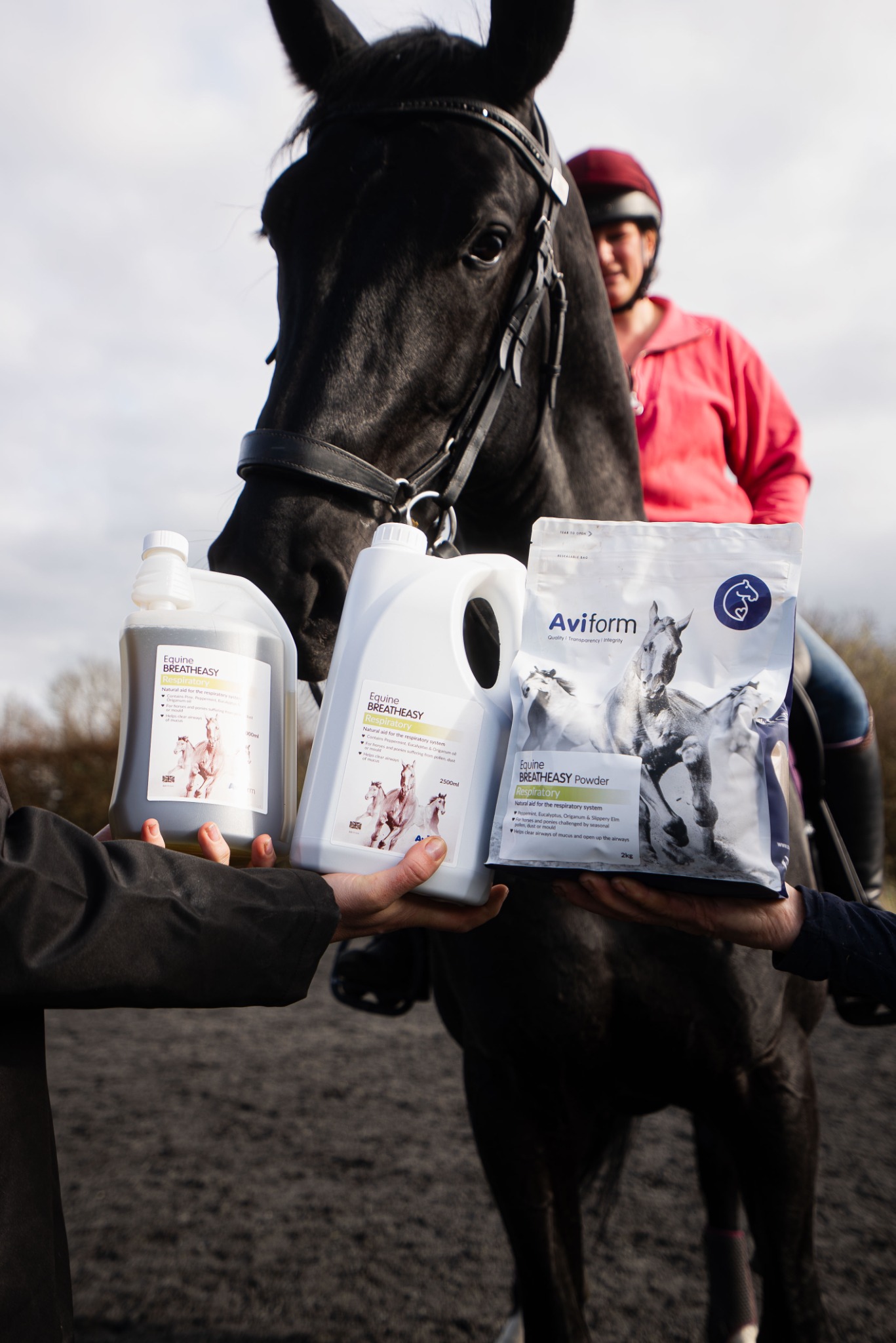 Aviform Nutrition UK - Horse & Dog Facebook ad