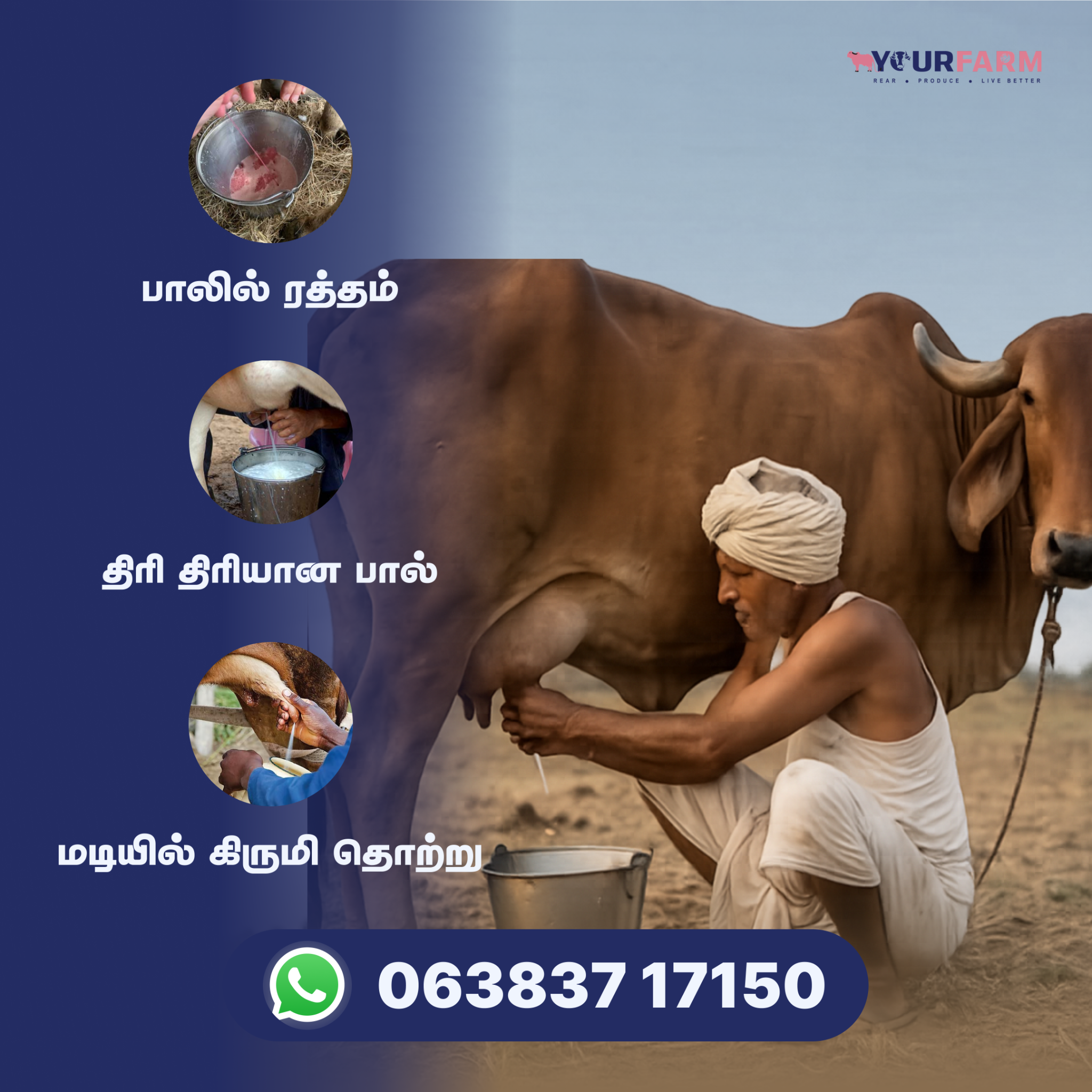 YourFarm AgriTech Facebook ad