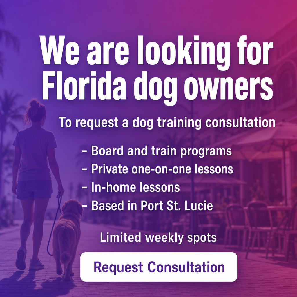Kopa.ai - Your Local Favorites Facebook ad