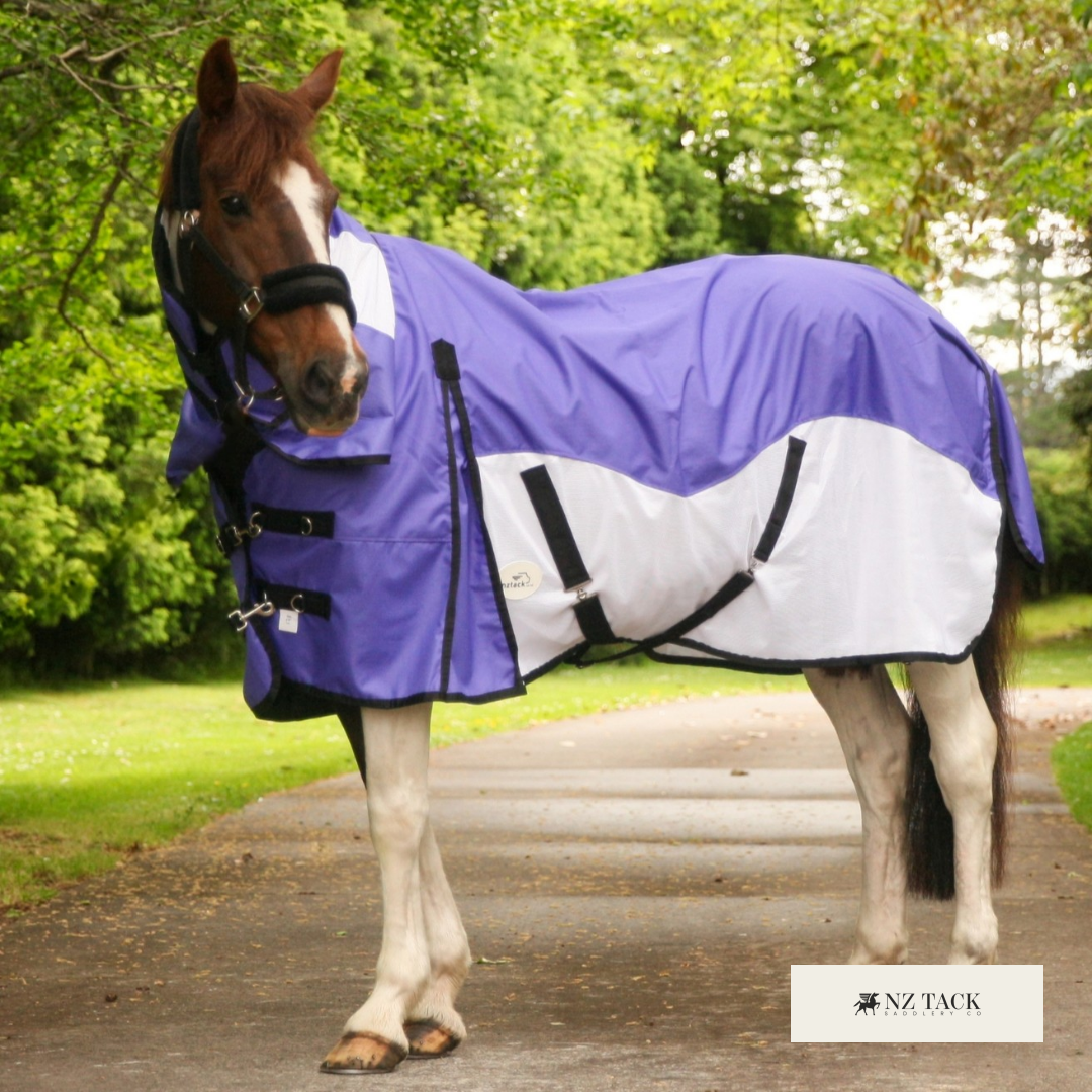 NZ Tack Saddlery Co Facebook ad