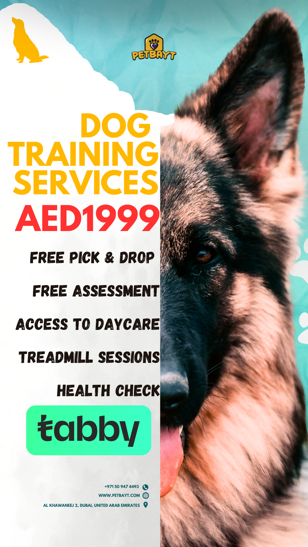 Petbayt Facebook ad: Tabby is Available
