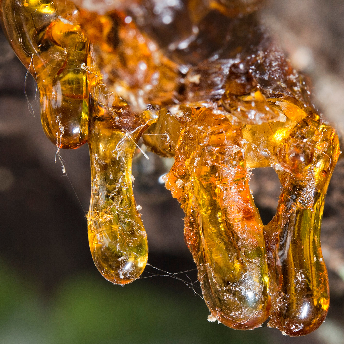 Vitality Extracts Essential Oils Facebook ad