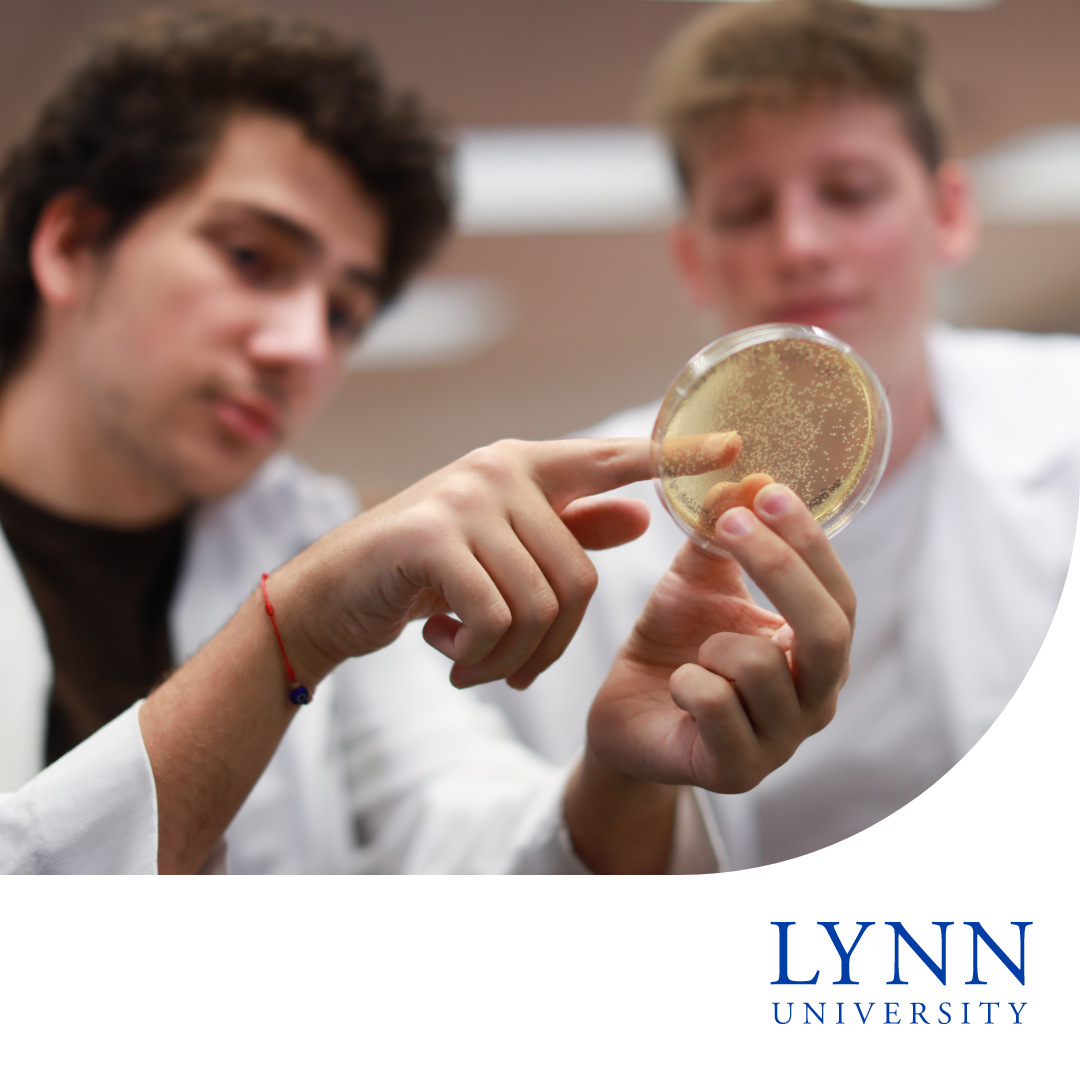 Lynn University Facebook ad