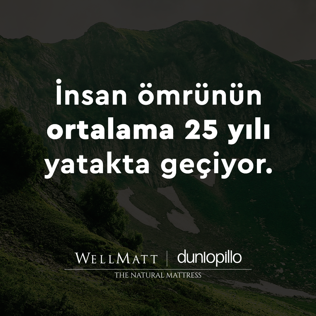 WellMatt Facebook ad