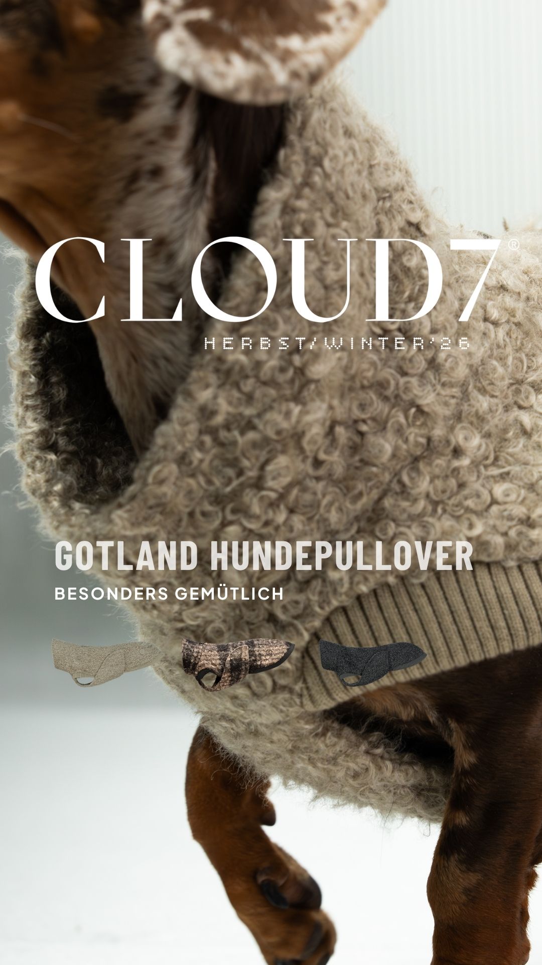 Cloud7 Facebook ad: Wetterfest für jeden Hund