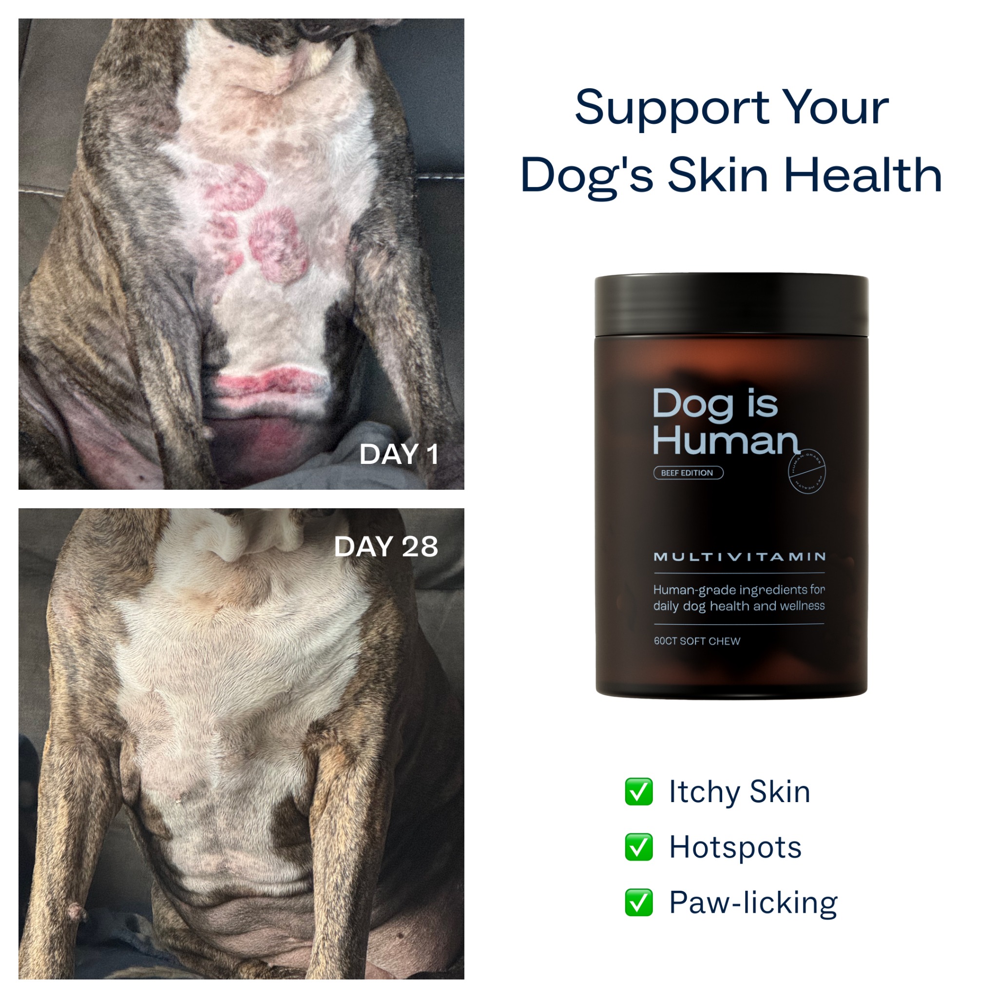 Dog is Human Facebook ad