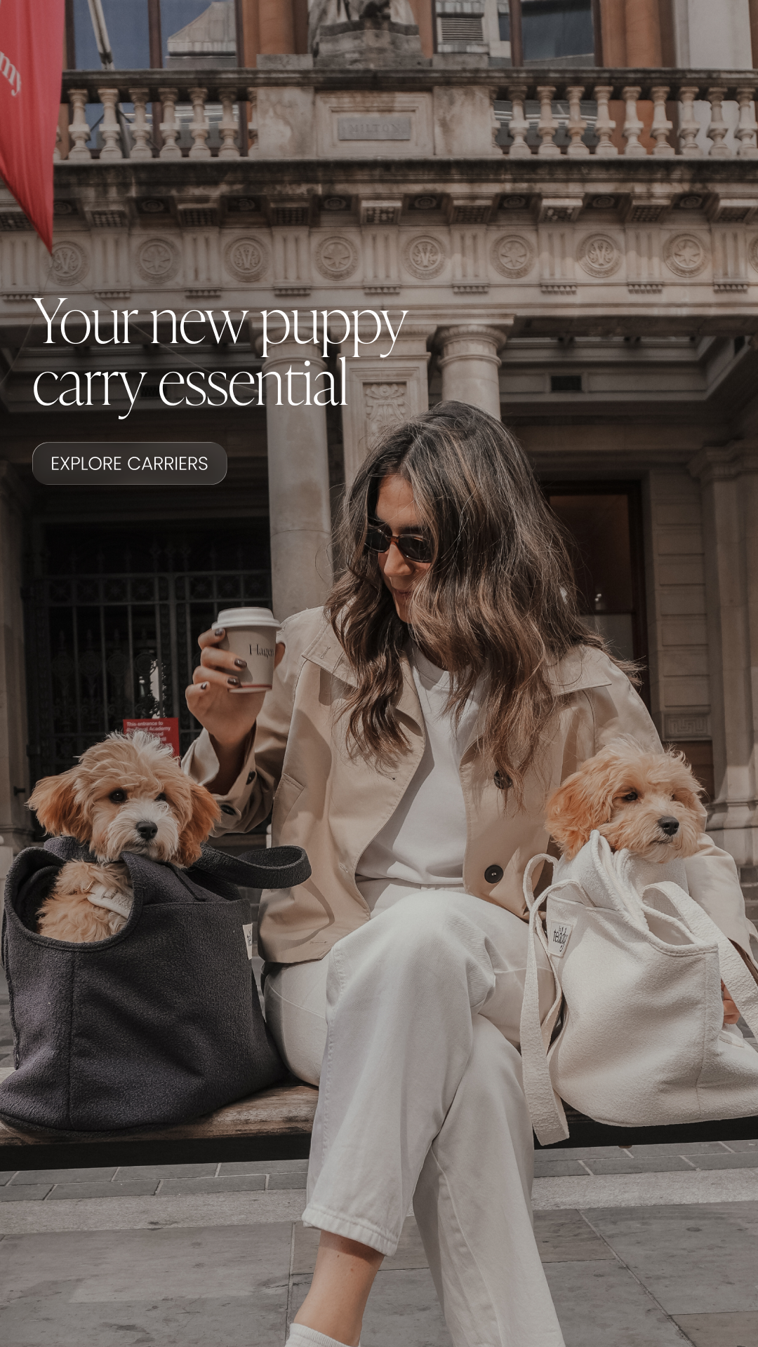 By Teddy Facebook ad