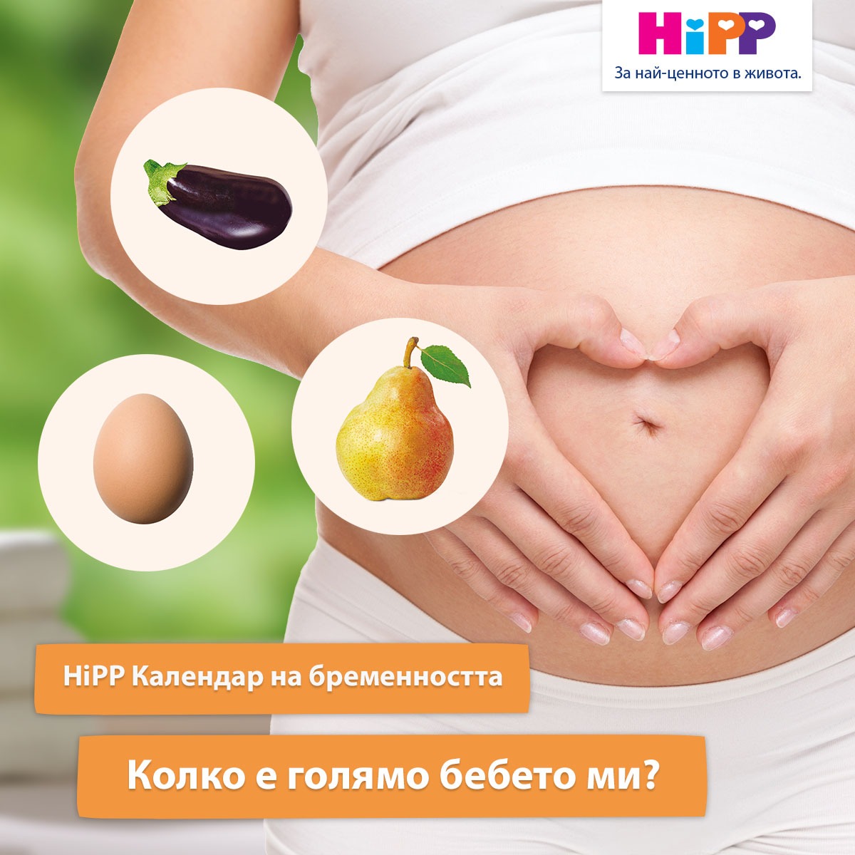 HiPP България Facebook ad