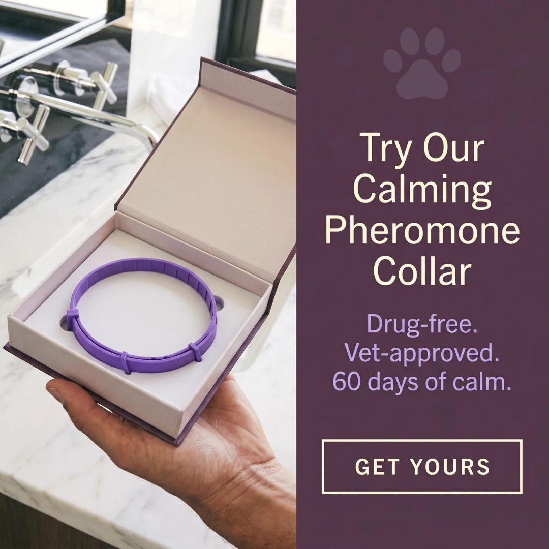 PawLax Facebook ad