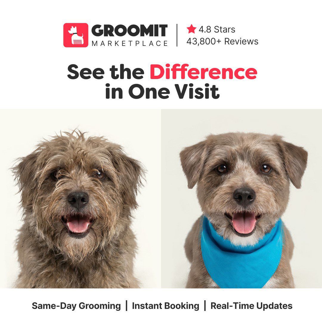 Groomit Facebook ad