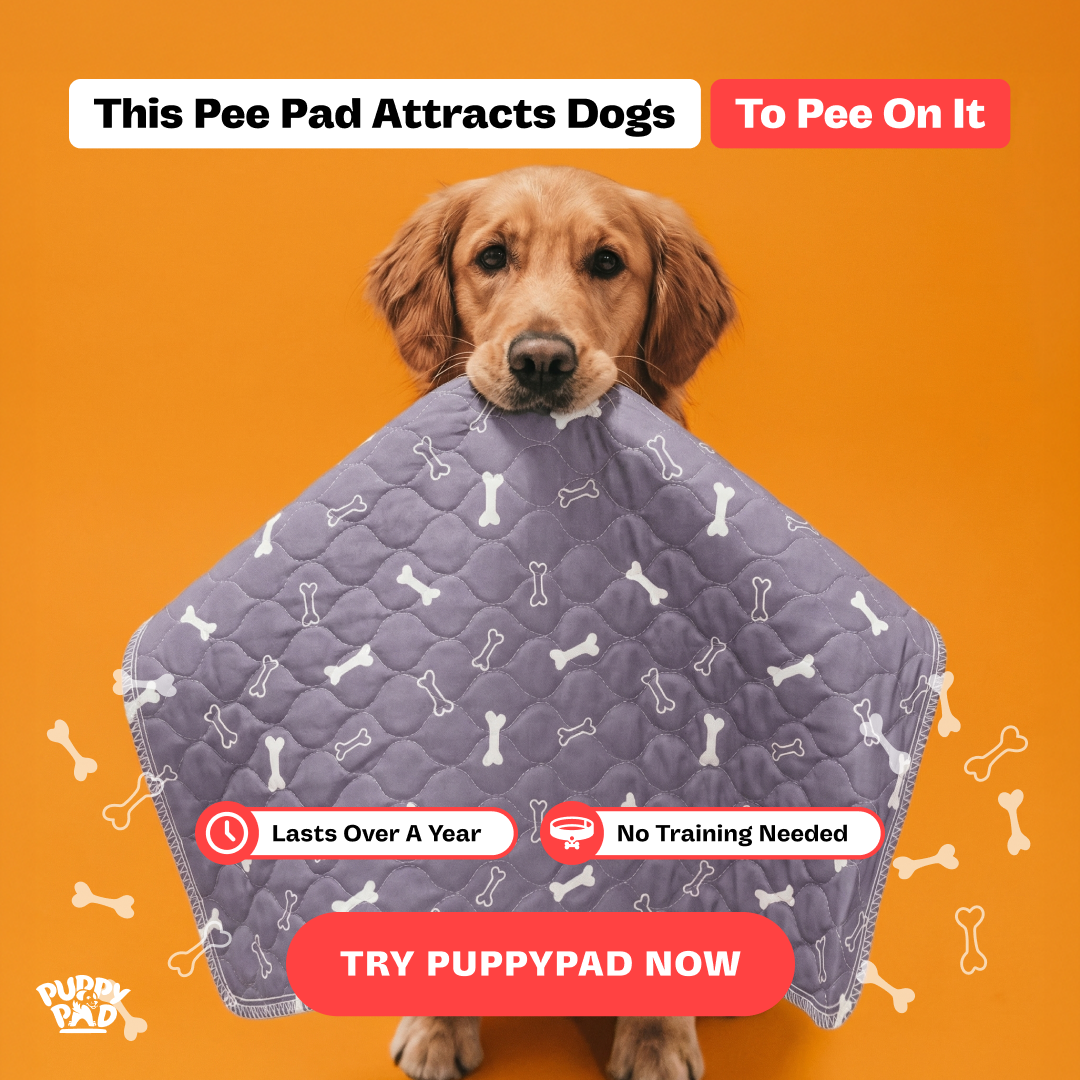PuppyPad Facebook ad