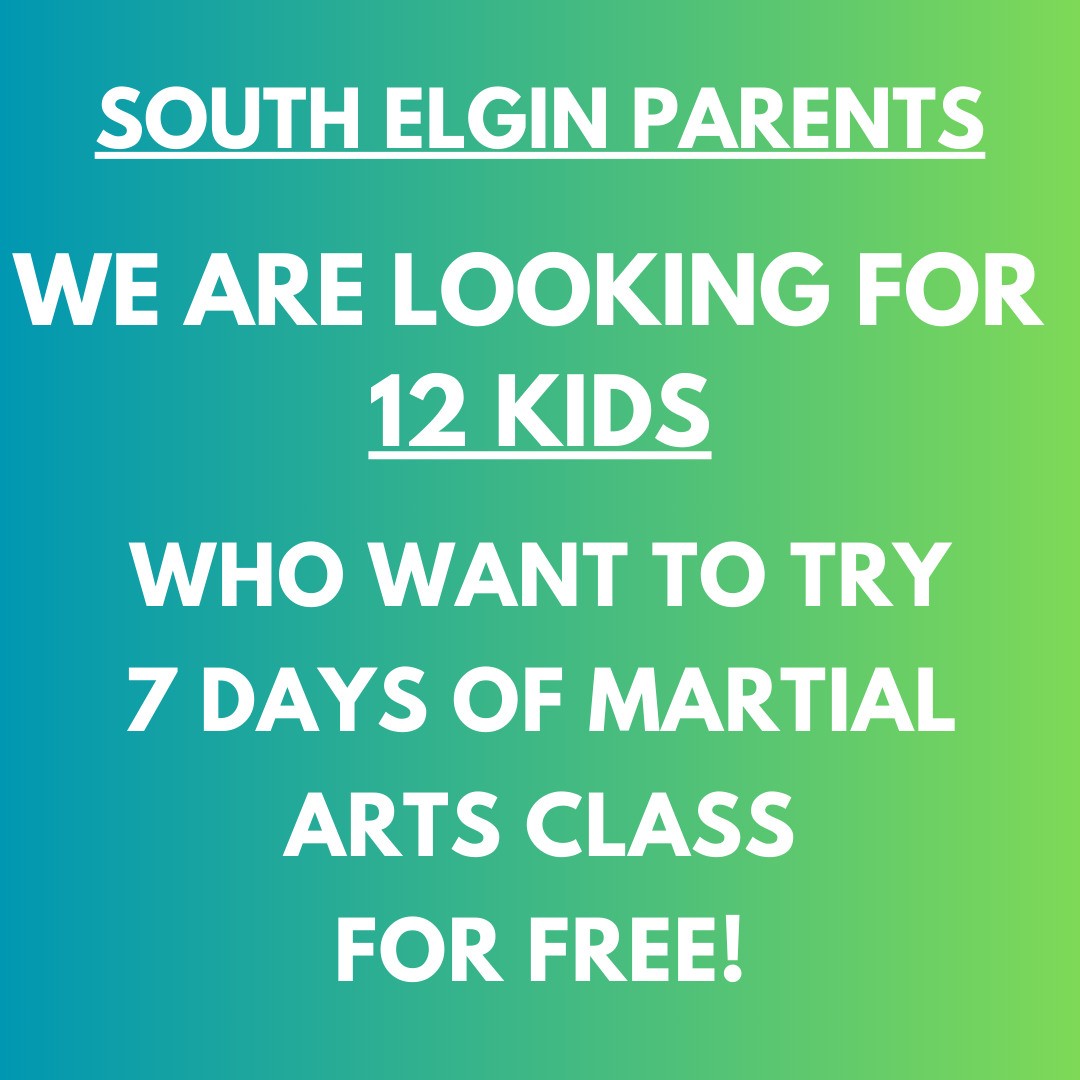 Premier Martial Arts Facebook ad