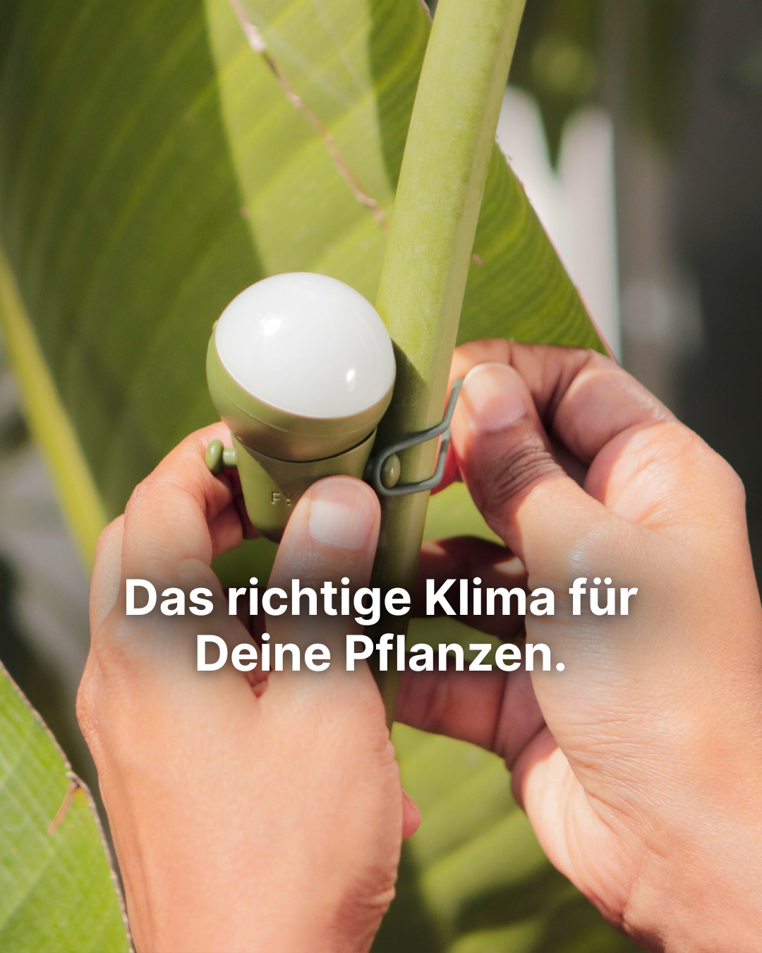 FYTA Facebook ad