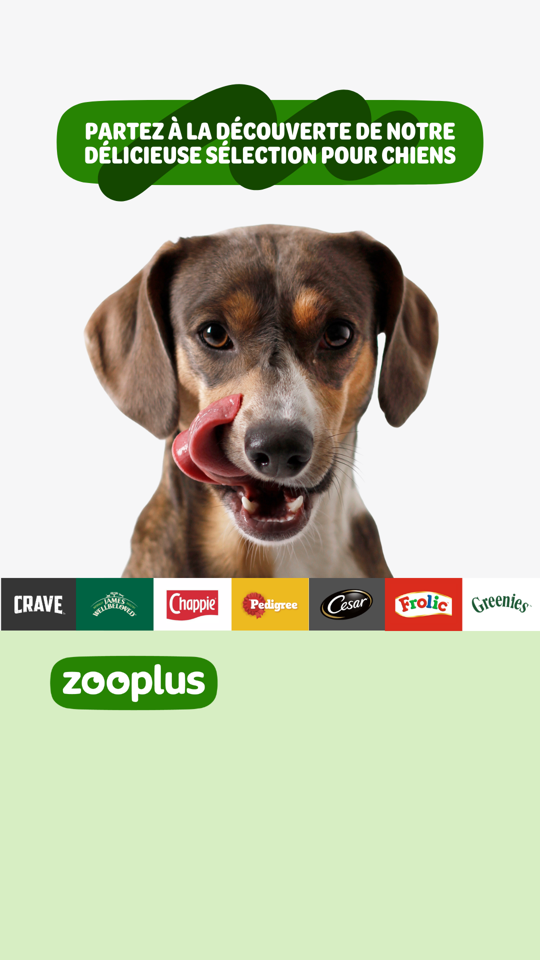zooplus Facebook ad
