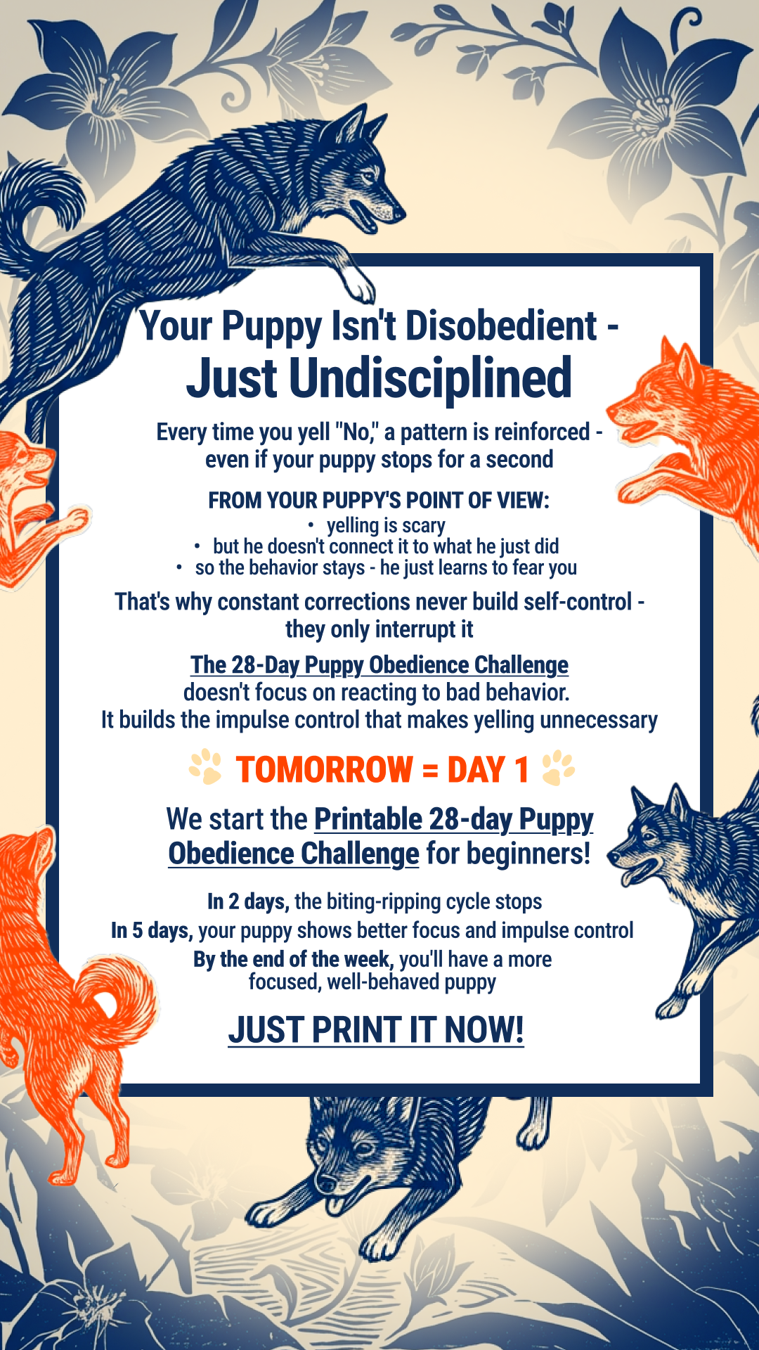 Dog Training & Tips Facebook ad