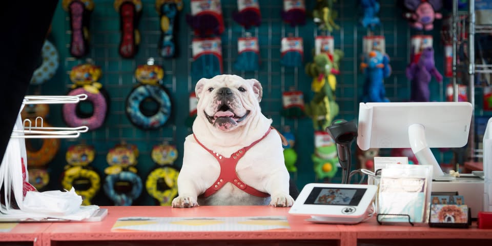 Carolina Pet Pantry Facebook ad: Pet Supplies