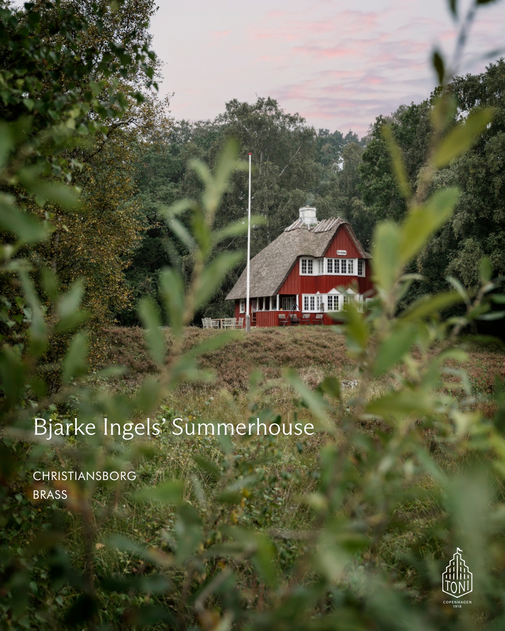 TONI Copenhagen Facebook ad from Aug 21, 2025