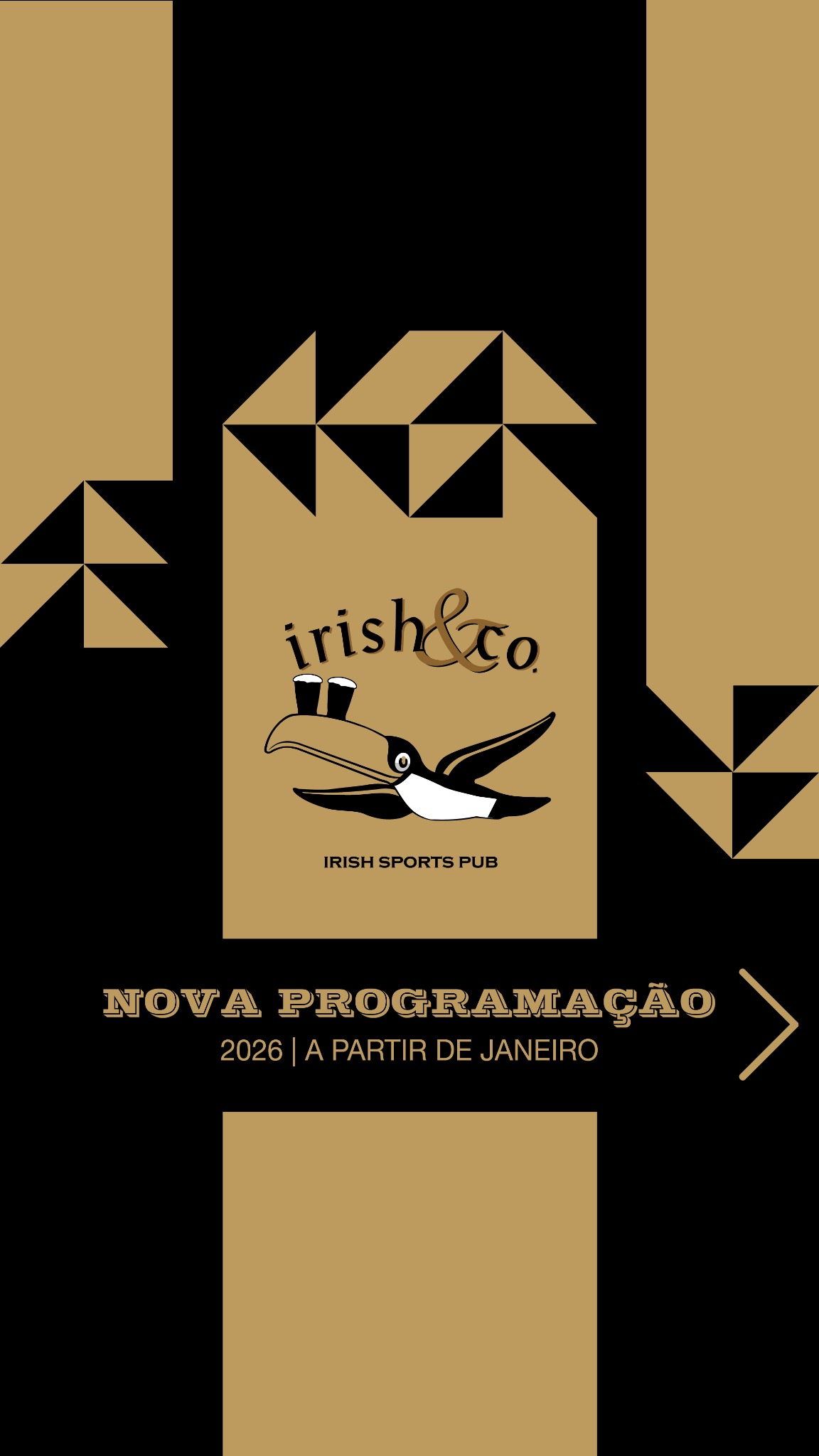 Irish & CO. Facebook ad from Jan 5, 2026