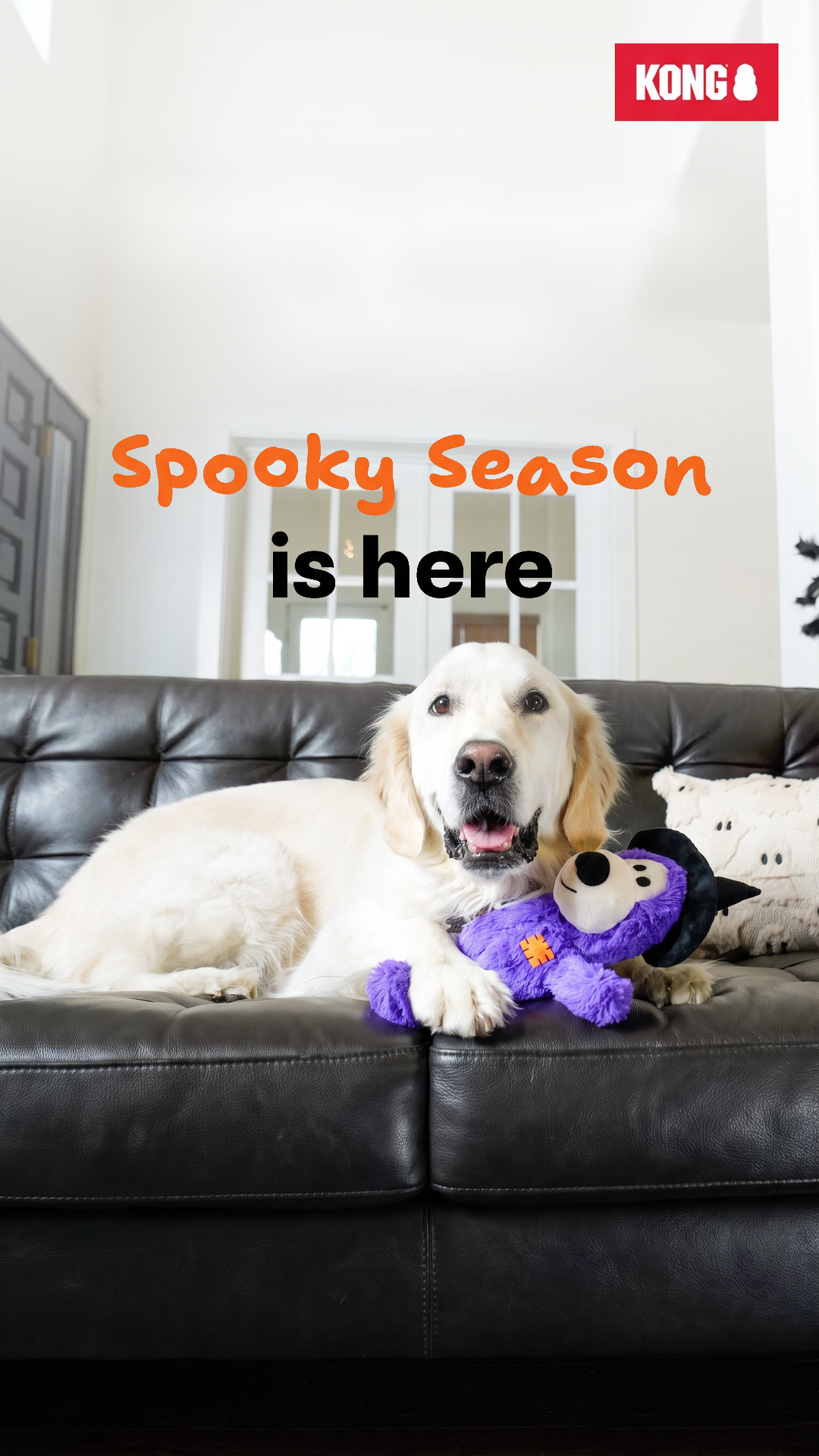 KONG Facebook ad: Built Tough. Dressed Spooky.