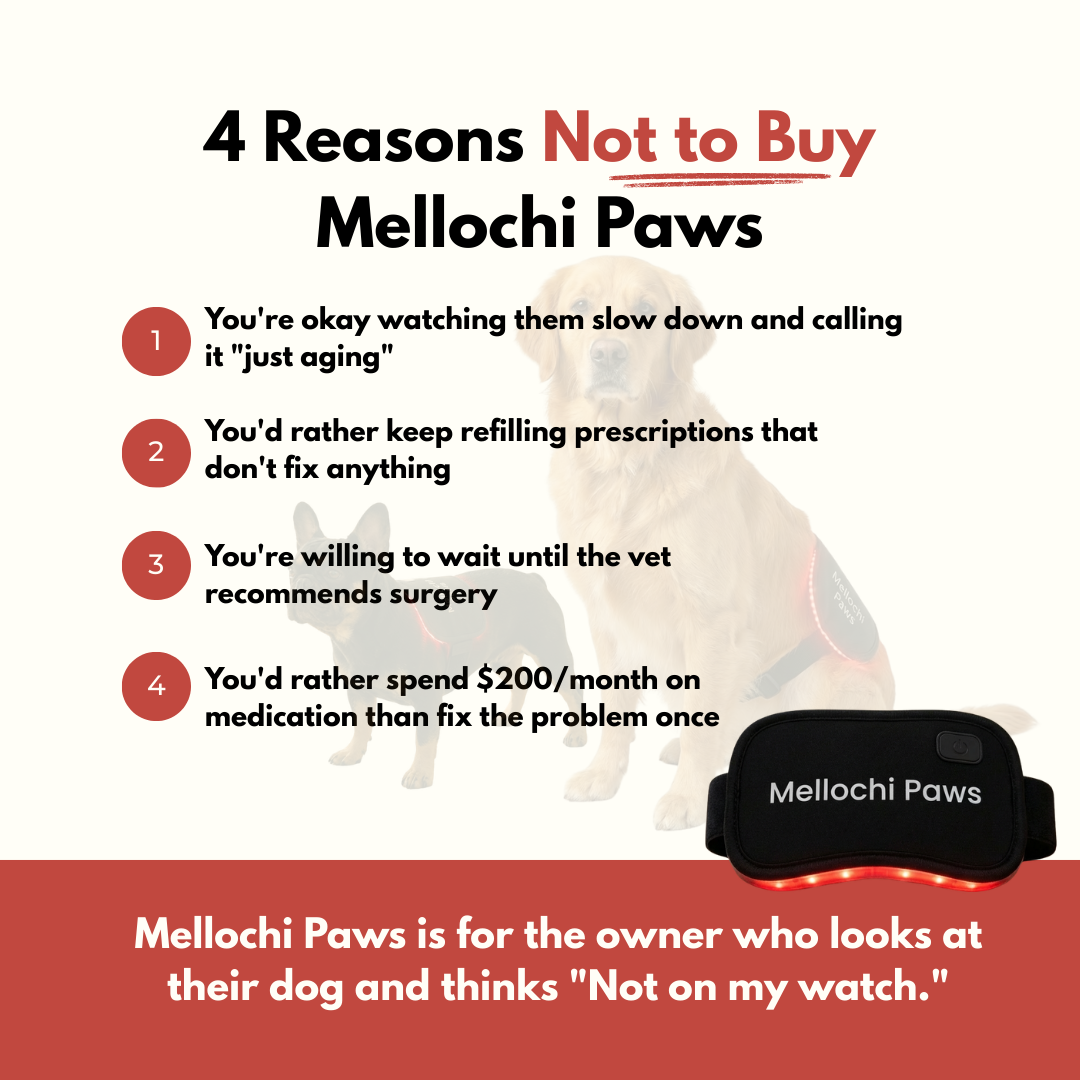 Mellochi Facebook ad: At-Home Red Light Therapy for Dogs