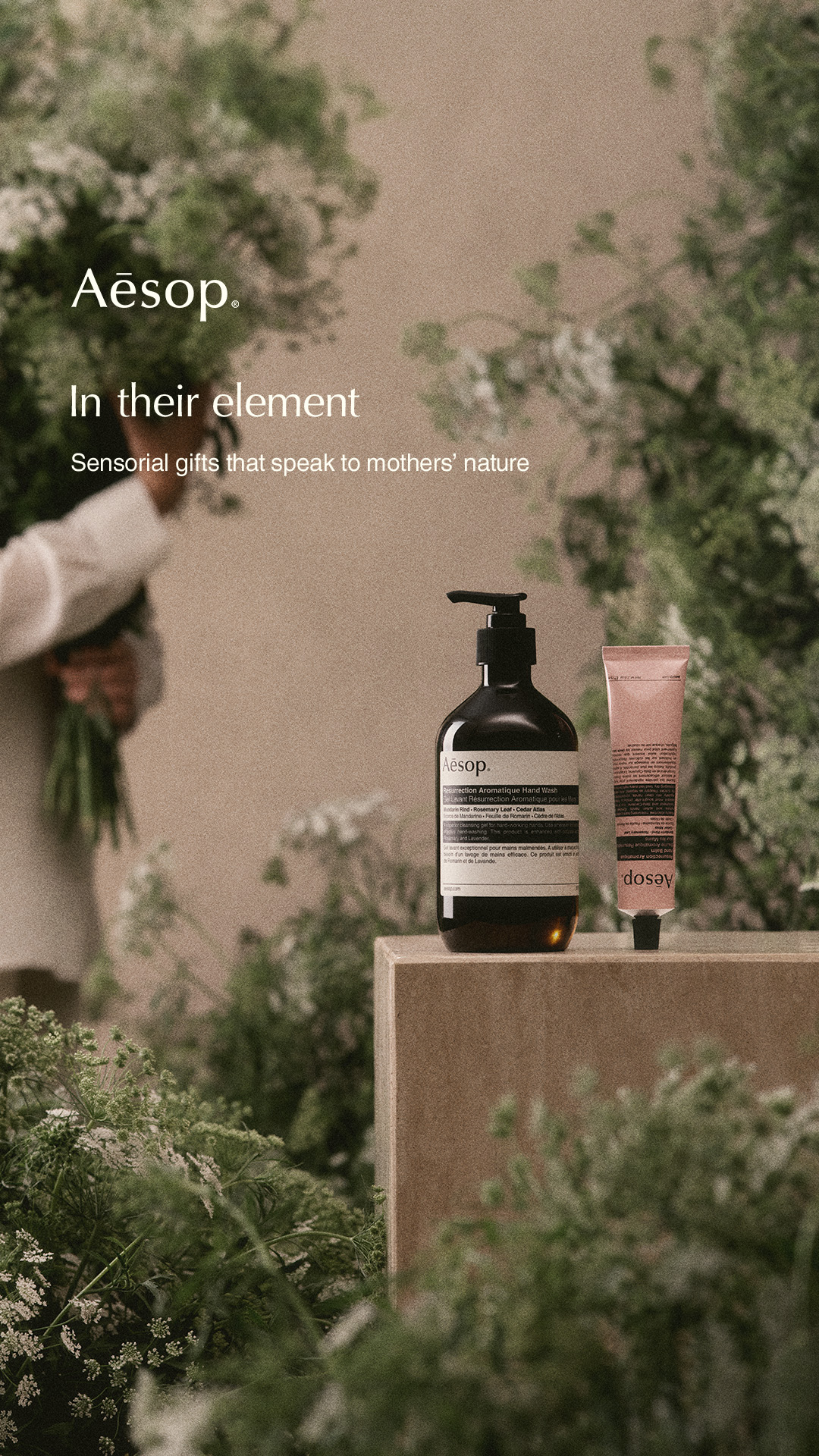 Aesop Facebook ad