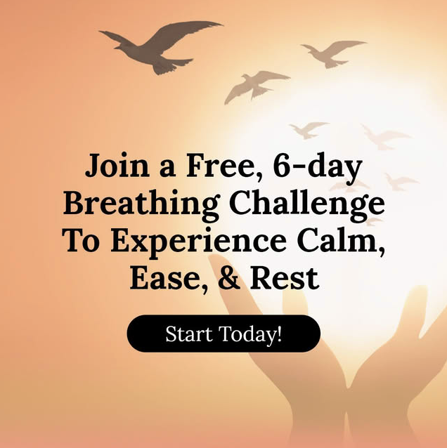 The Art of Living Facebook ad: Breathe into calm with a free 5-day breathing challenge