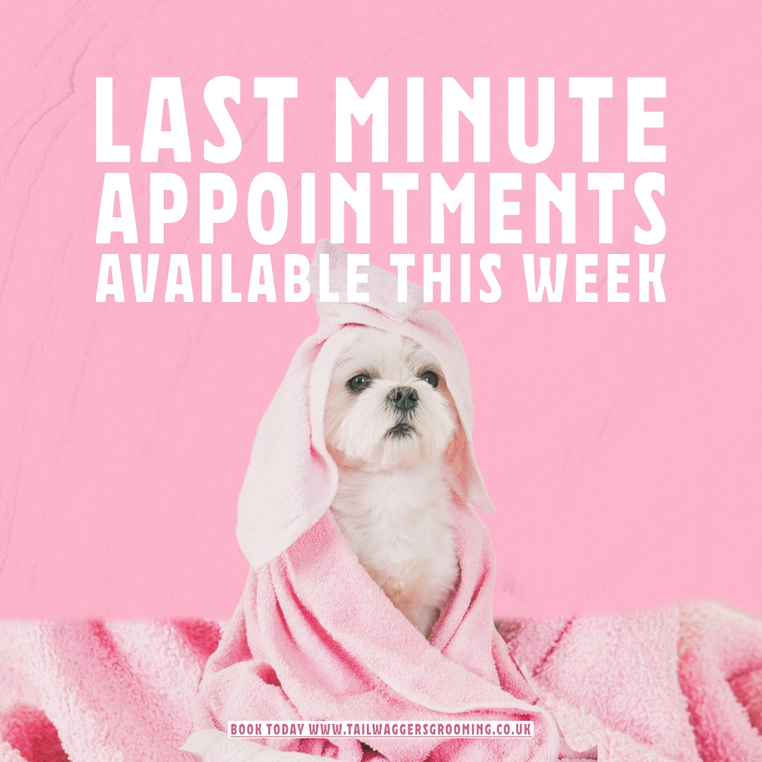 Tail Waggers Dog Grooming Facebook ad: Online booking - Tail Waggers Grooming