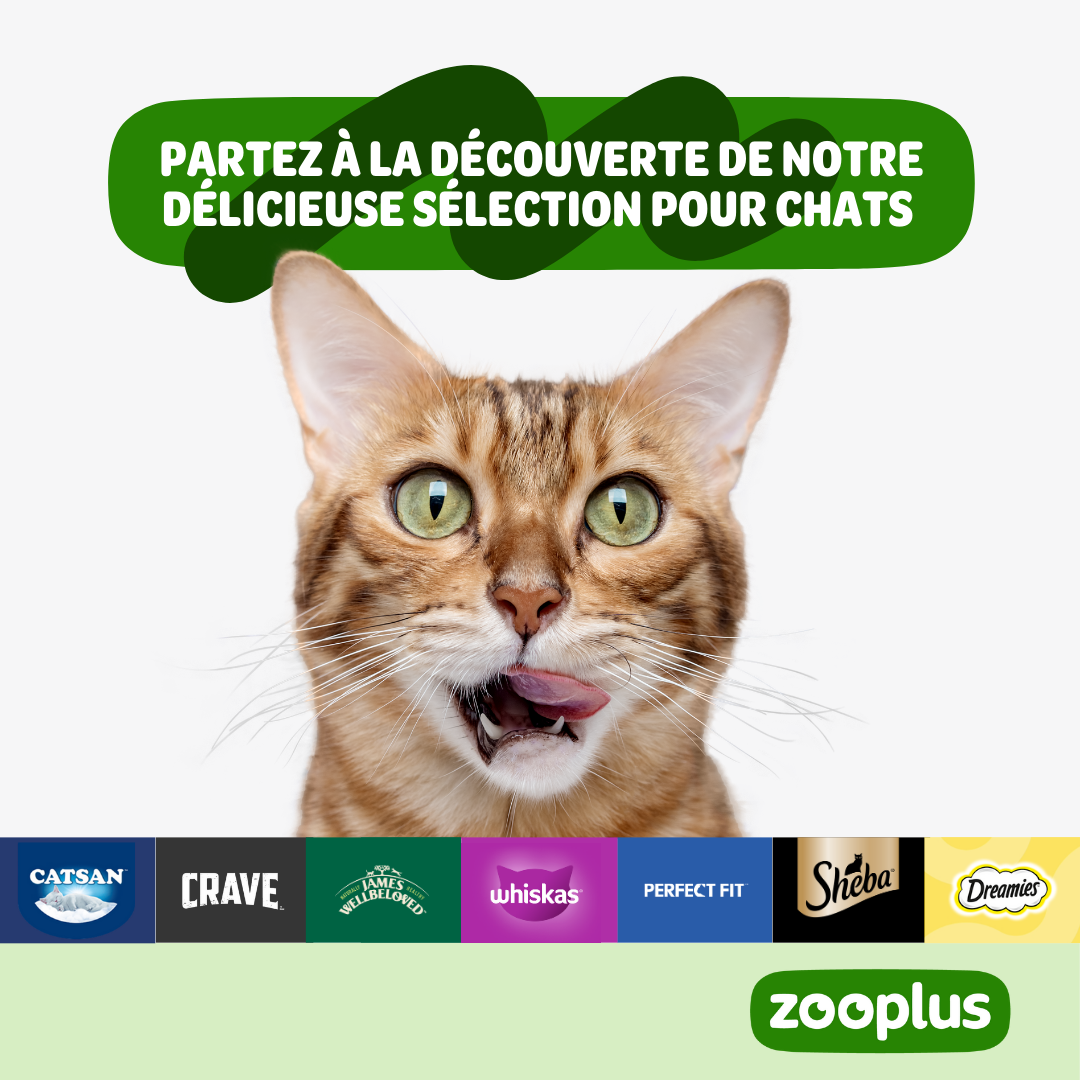 zooplus Facebook ad