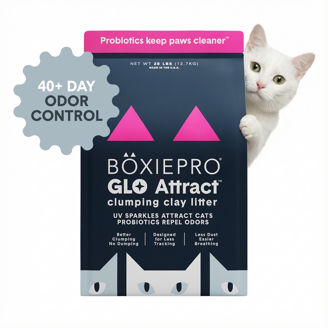 Boxiecat Facebook ad: BoxiePro Bot: The pick of the litter for…