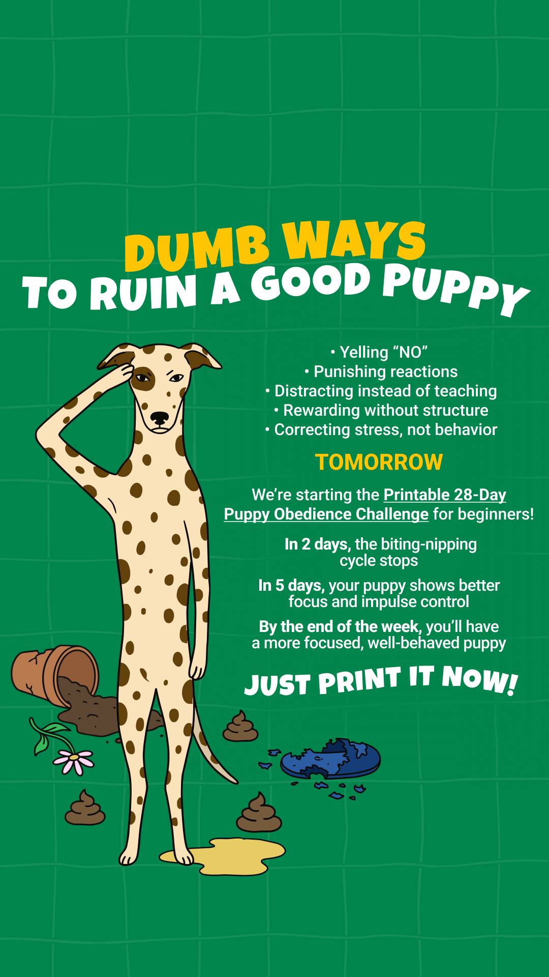 Dog Training & Tips Facebook ad
