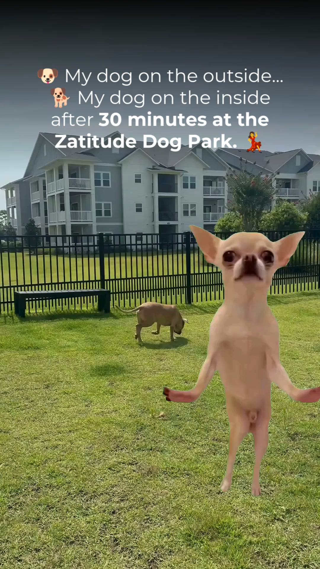 Zatitude Luxury Apartments Facebook ad: Love Where You (and Your Pet) Live.