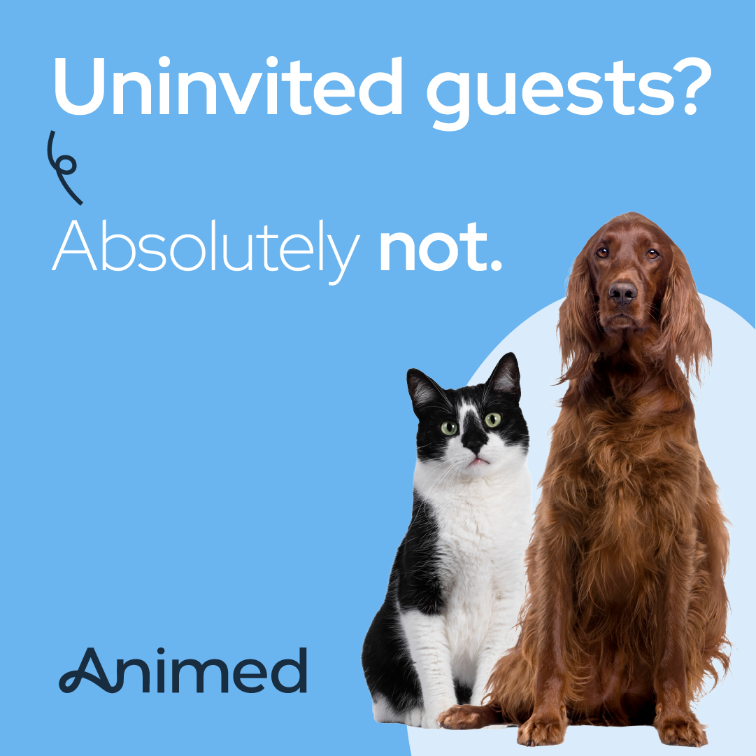 Animed Direct Facebook ad