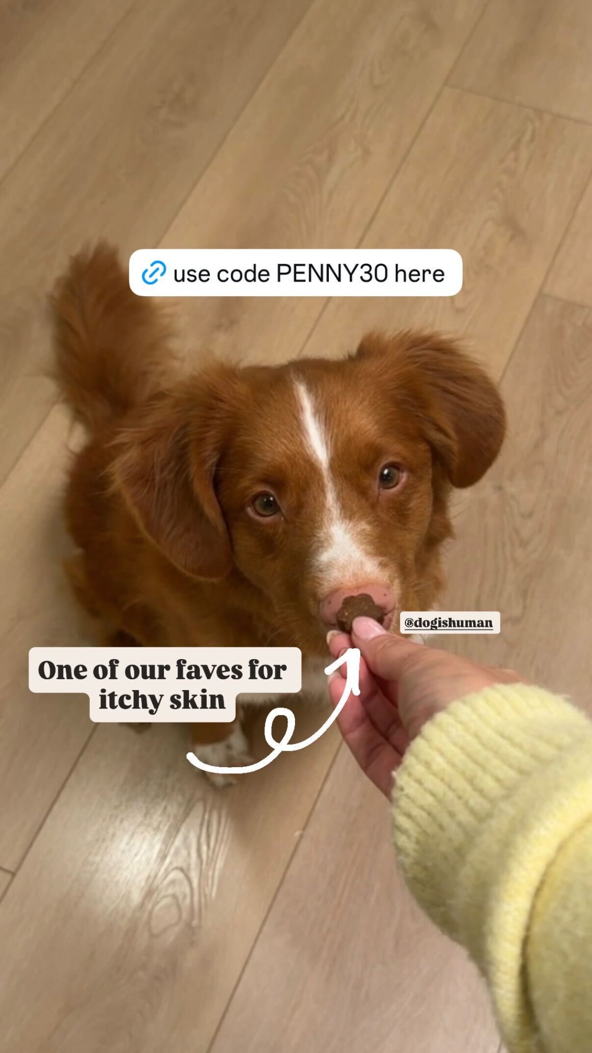 Dog is Human Facebook ad