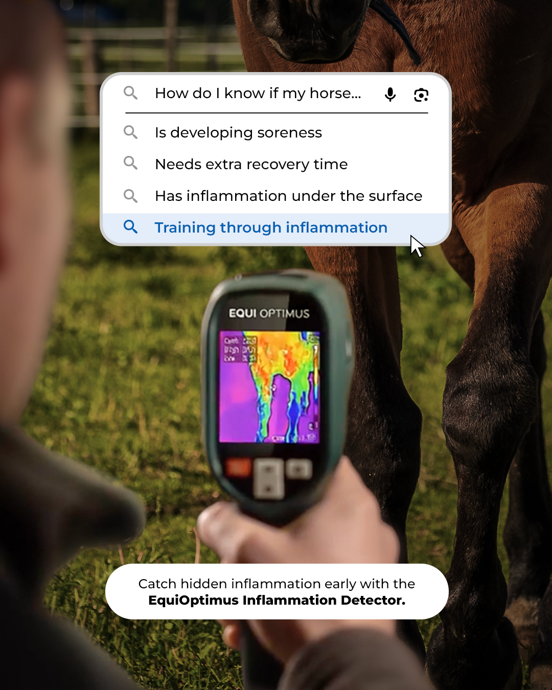 Chevaroo Facebook ad