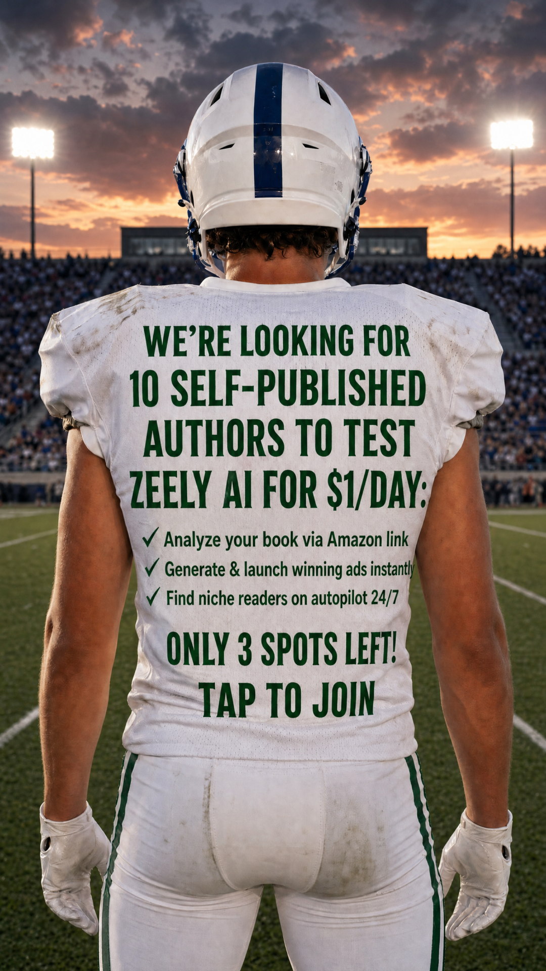 Zeely: Grow Sales with AI Facebook ad