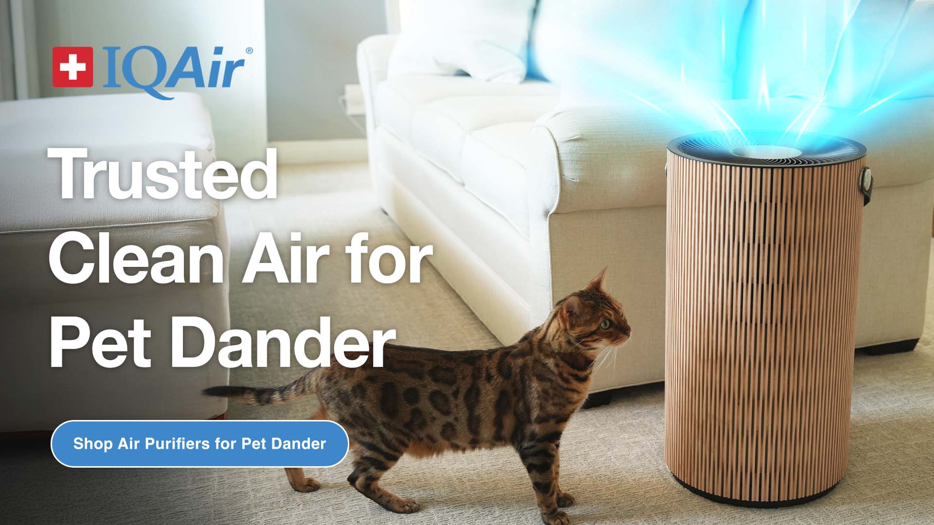 IQAir Facebook ad