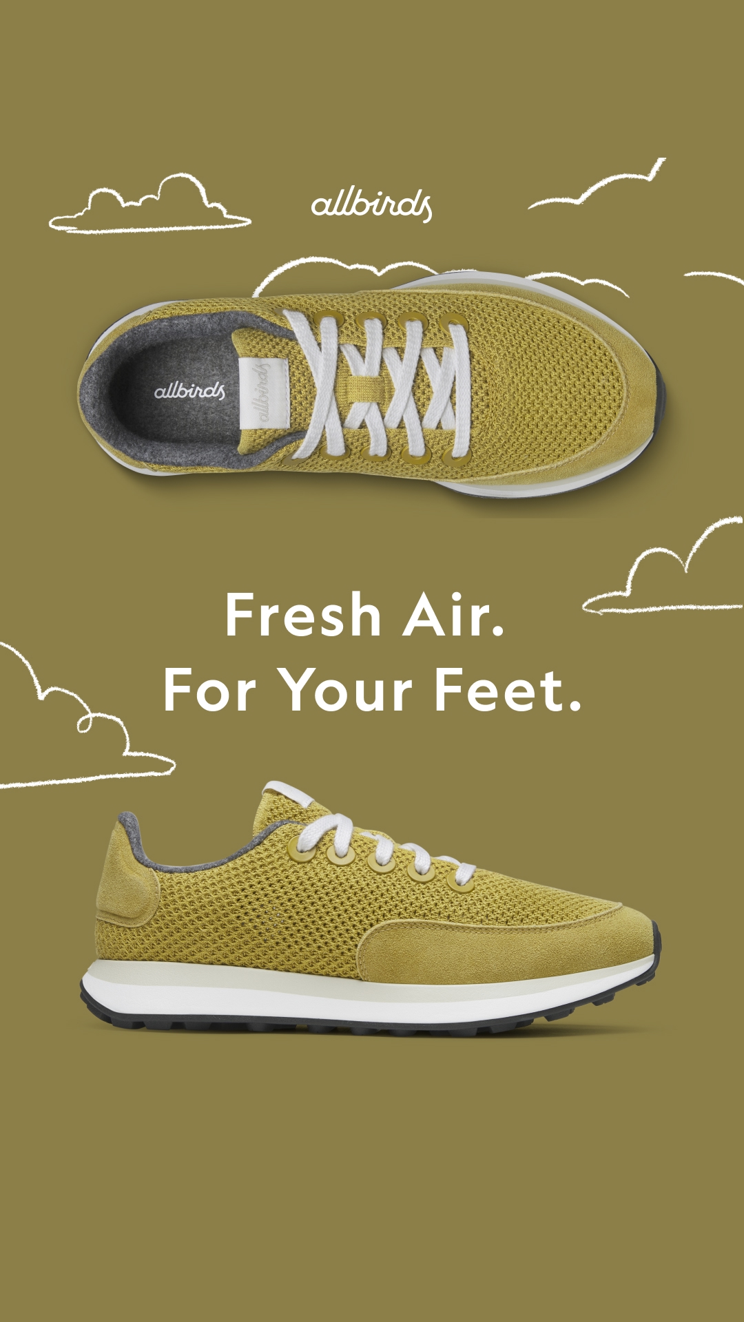 Allbirds Facebook ad