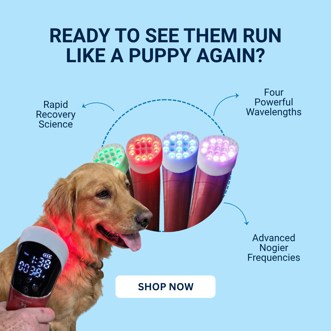 Photonic Health Facebook ad: Advanced Light Therapy for Dogs, Cats & Horses