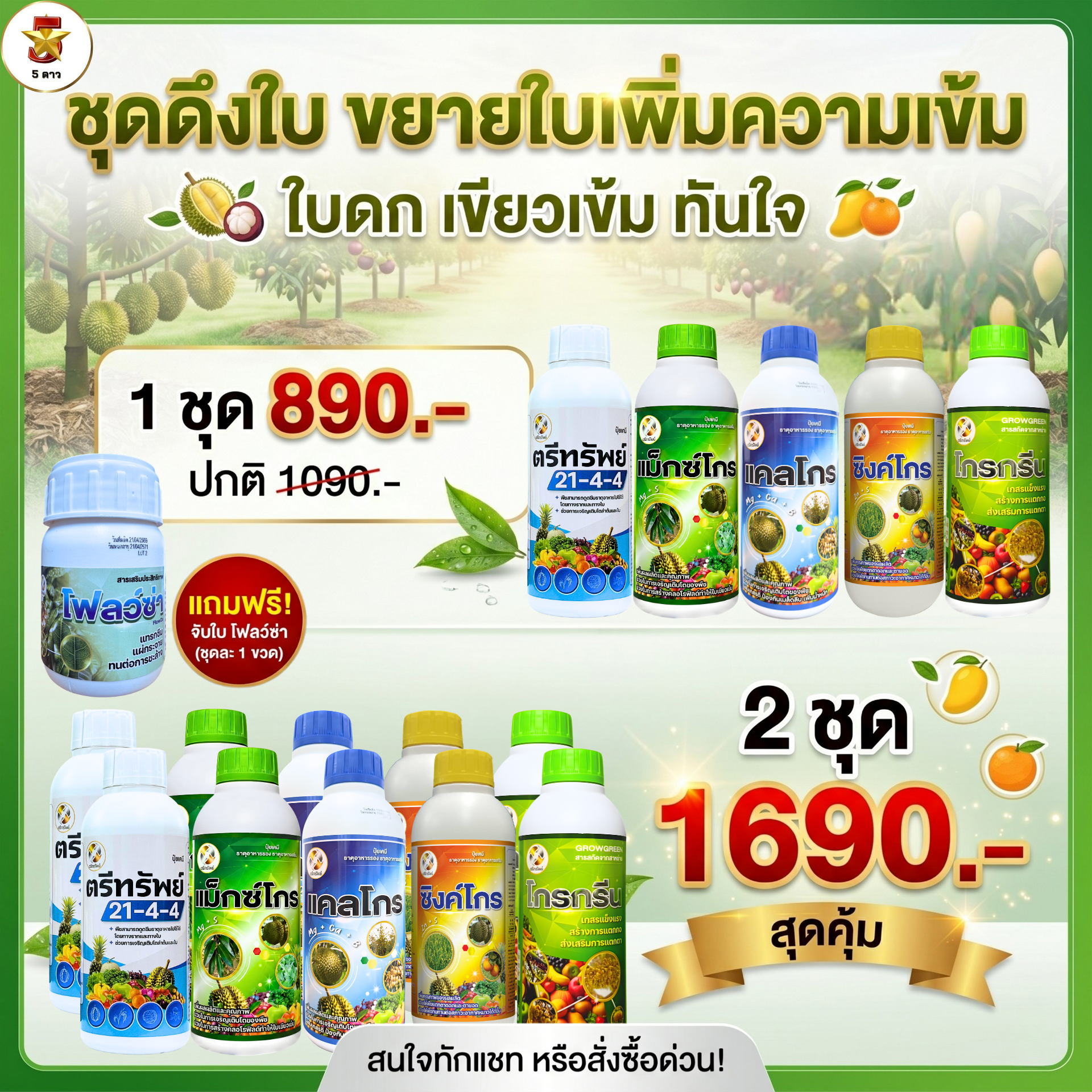 เกษตร 5 ดาว Facebook ad: ดึงใบ ใบใหญ่หนาเขียวเข้ม.