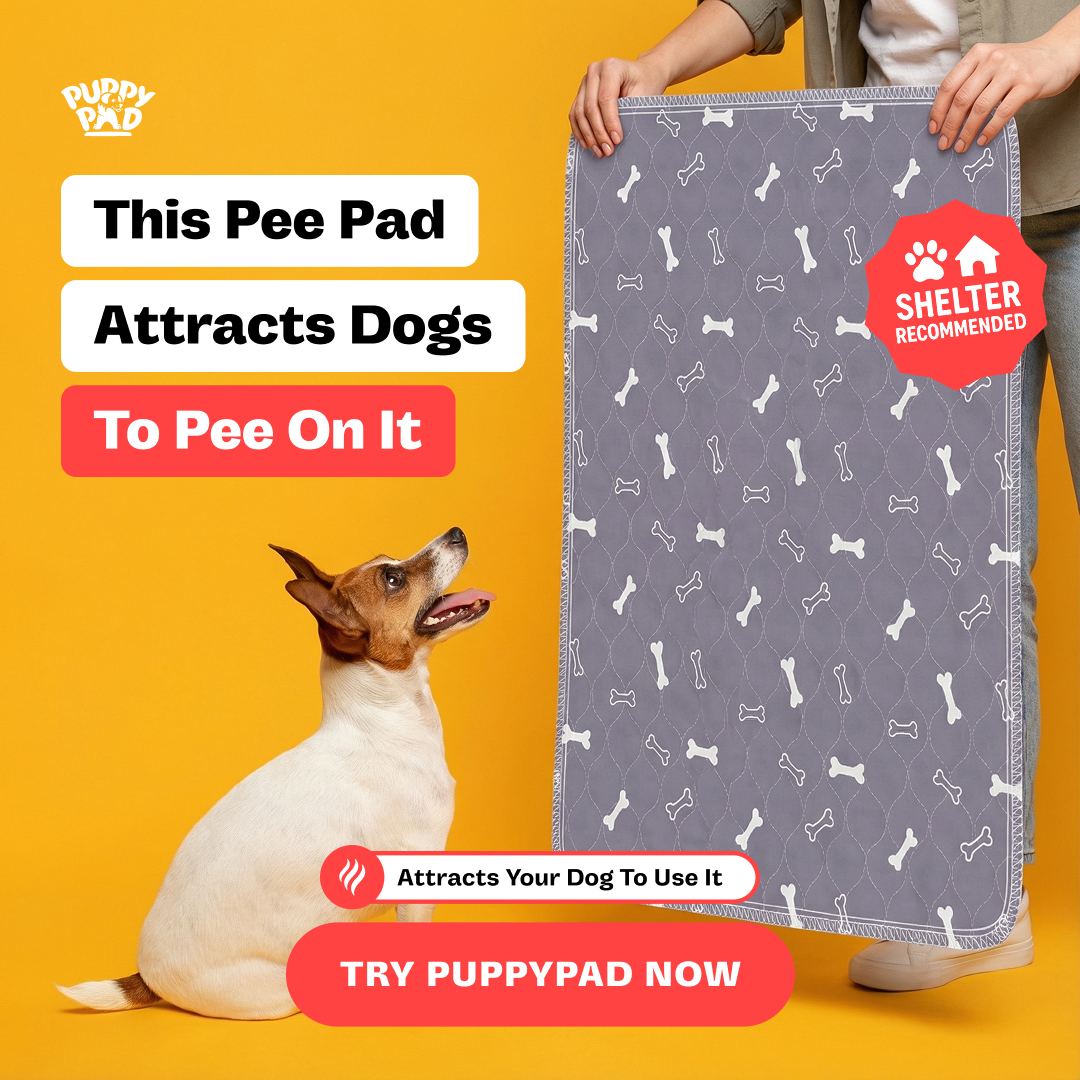 PuppyPad Facebook ad