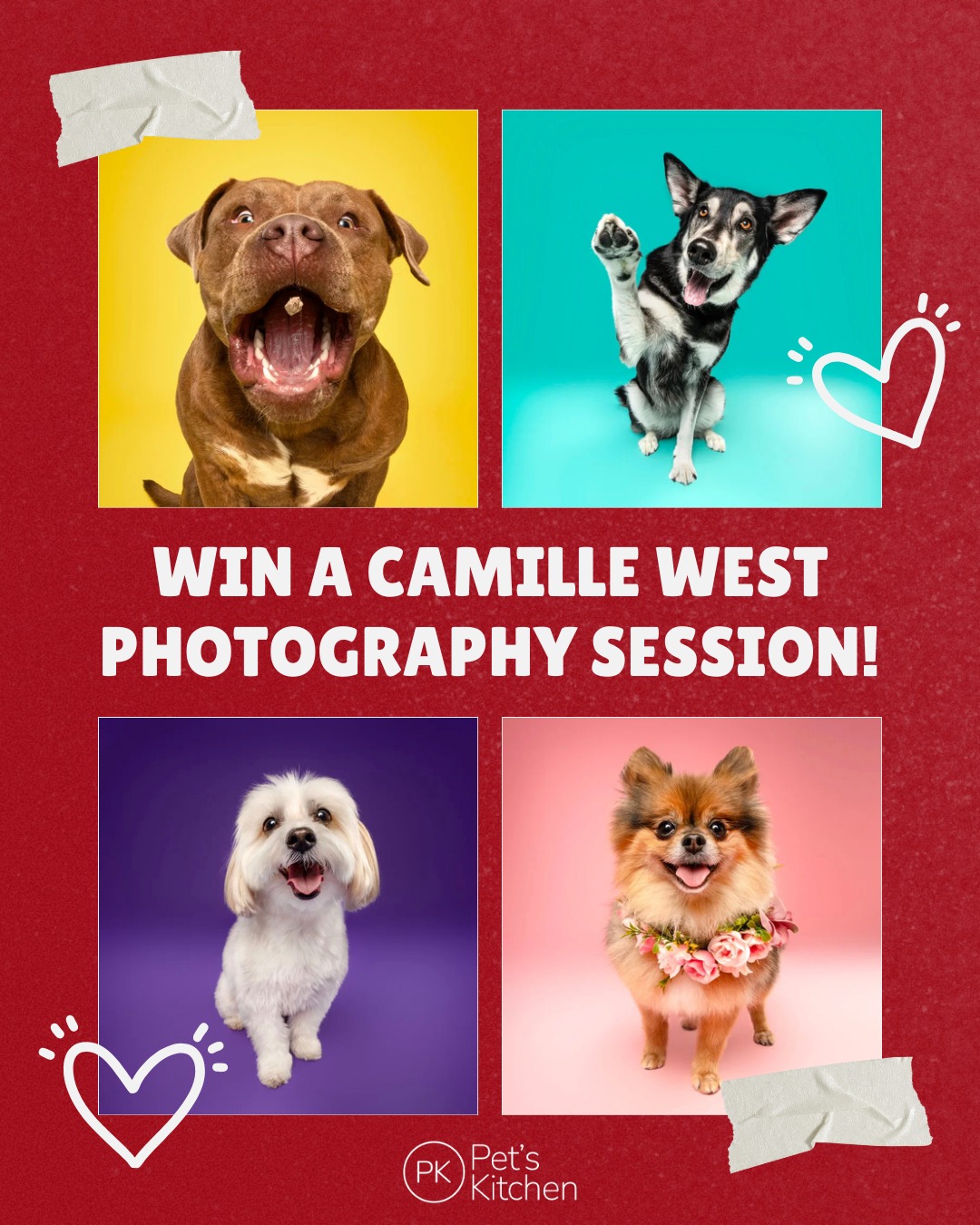 Pet's Kitchen Facebook ad: ππΌπππππππβπ πΏπΌπ πΌπ πππβπ ππππΎπππ
