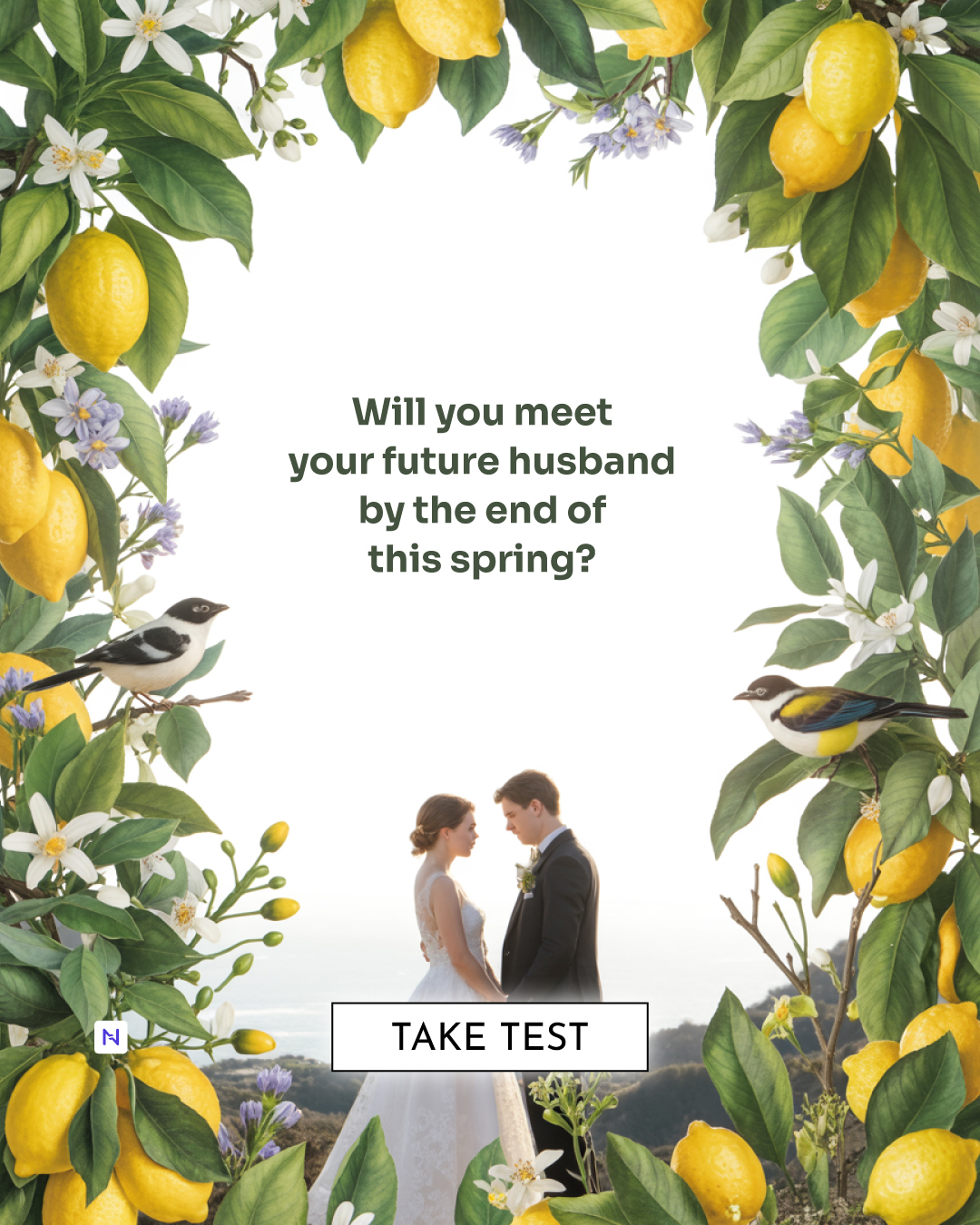 Nebula: Marriage Compatibility Facebook ad