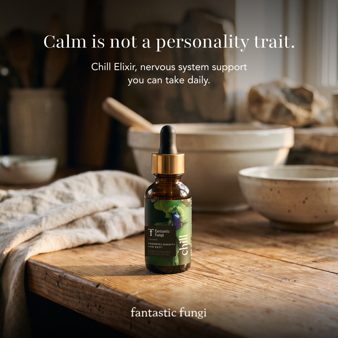 Fantastic Fungi Facebook ad