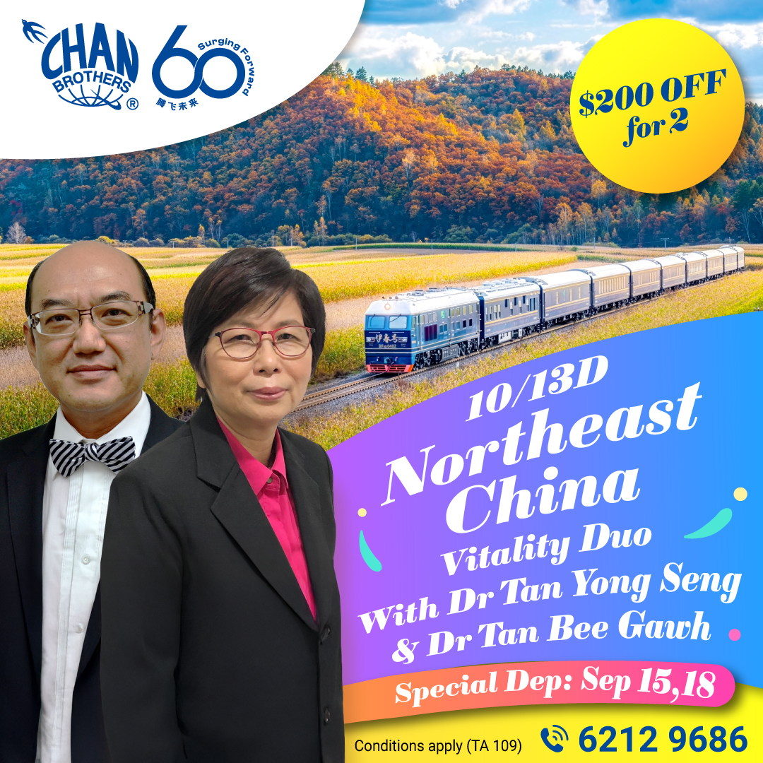 Chan Brothers Travel Facebook ad