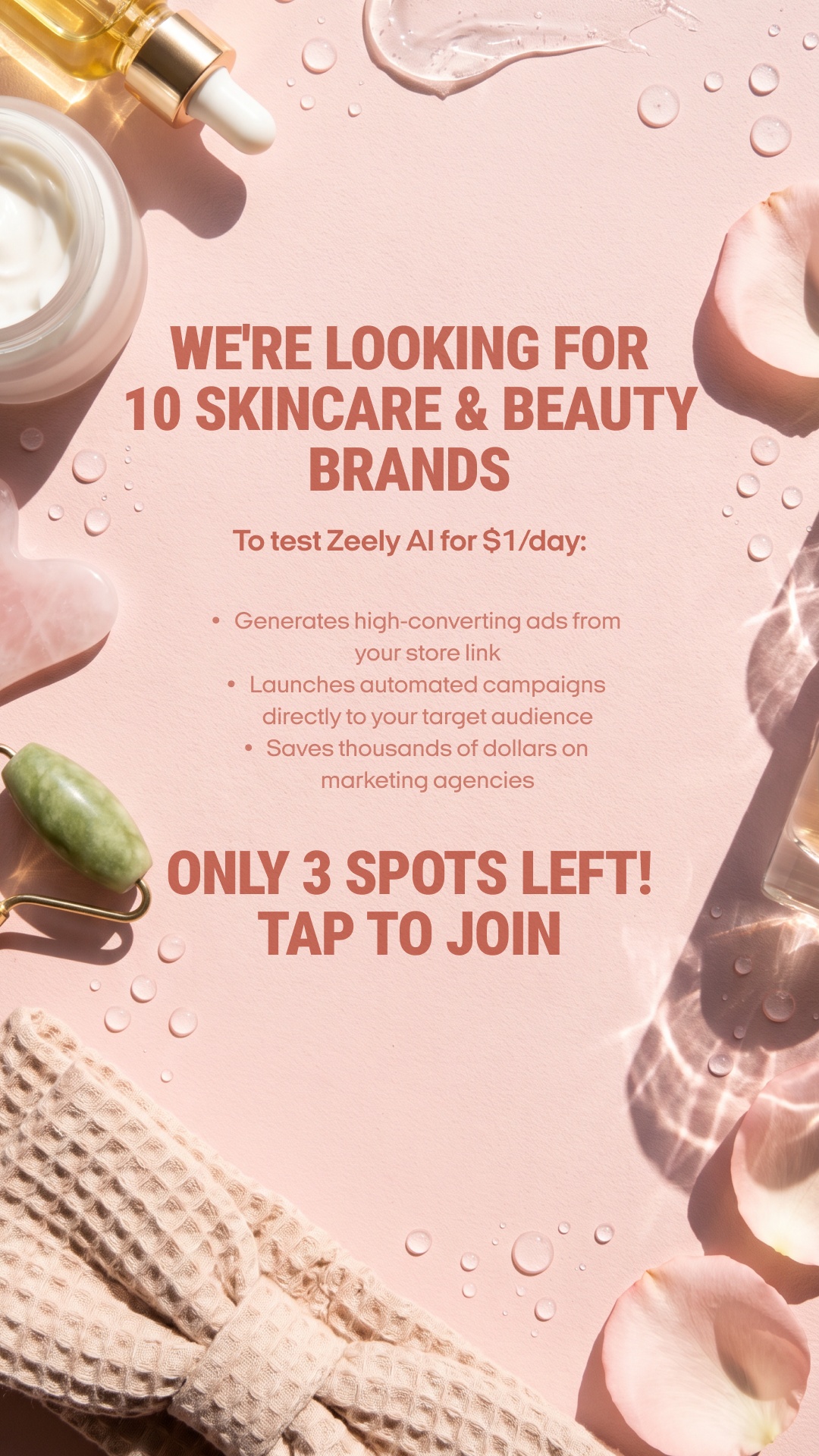 Zeely Facebook ad