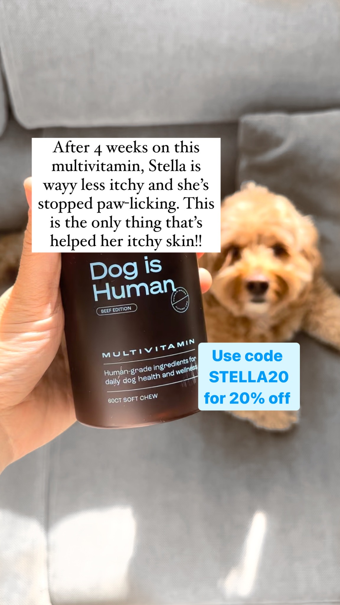 Snacking Stella Facebook ad: Daily Dog Multivitamin, Real Results