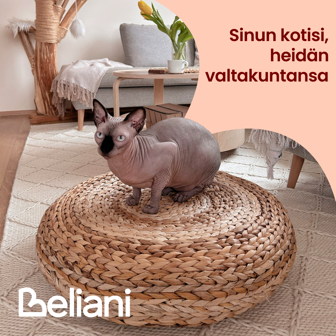 Beliani Suomi Facebook ad: Huonekaluja, jotka nelijalkaiset mukavuusekspertit…